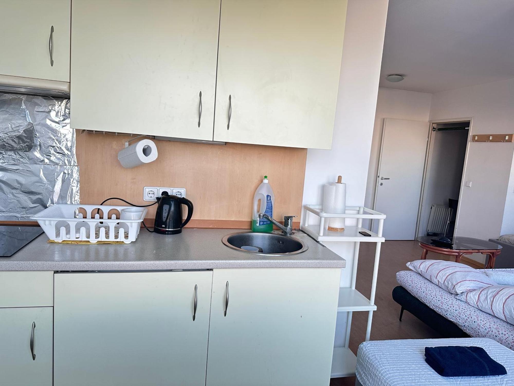 Cozy Bright Penthouse Close To U1 And U6 Metros Vienna Esterno foto